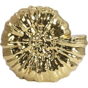 Women Metallic Shell Conch Evening Bag Compact Gold Clutch with Detachable Chain